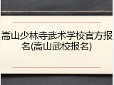 嵩山少林寺武术学校官方报名(嵩山武校报名)