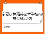 宁夏少林精英武术学校(宁夏少林武校)