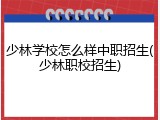 少林学校怎么样中职招生(少林职校招生)