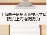 上海电子信息职业技术学院院长(上海电院院长)