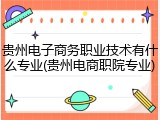 贵州电子商务职业技术有什么专业(贵州电商职院专业)