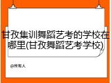甘孜集训舞蹈艺考的学校在哪里(甘孜舞蹈艺考学校)
