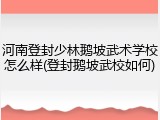河南登封少林鹅坡武术学校怎么样(登封鹅坡武校如何)