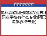 锡林郭勒阿巴嘎旗农业技术职业学校有什么专业(阿巴嘎旗农校专业)