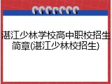 湛江少林学校高中职校招生简章(湛江少林校招生)