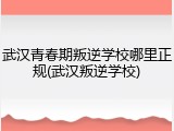 武汉青春期叛逆学校哪里正规(武汉叛逆学校)