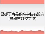 昌都丁青县数控学校有没有(昌都有数控学校)