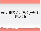 武汉 影视培训学校(武汉影视培训)