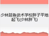 少林延鲁武术学校胖子平地起飞(少林胖飞)