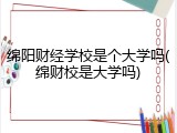 绵阳财经学校是个大学吗(绵财校是大学吗)