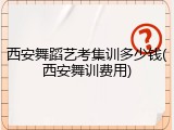 西安舞蹈艺考集训多少钱(西安舞训费用)
