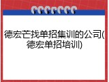 德宏芒找单招集训的公司(德宏单招培训)