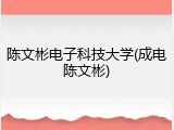 陈文彬电子科技大学(成电陈文彬)