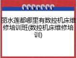 丽水莲都哪里有数控机床维修培训班(数控机床维修培训)