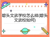 碧头文武学校怎么样(碧头文武校如何)