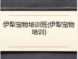 伊犁宠物培训班(伊犁宠物培训)