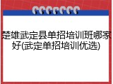 楚雄武定县单招培训班哪家好(武定单招培训优选)