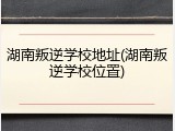 湖南叛逆学校地址(湖南叛逆学校位置)