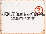 沈阳电子信息专业好的学校(沈阳电子名校)