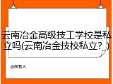 云南冶金高级技工学校是私立吗(云南冶金技校私立？)