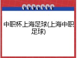 中职杯上海足球(上海中职足球)