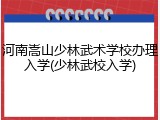 河南嵩山少林武术学校办理入学(少林武校入学)
