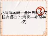 北海海城高一全日制补习学校有哪些(北海高一补习学校)