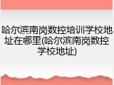 哈尔滨南岗数控培训学校地址在哪里(哈尔滨南岗数控学校地址)