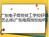广东电子商务技工学校好吗怎么样(广东电商技校如何)