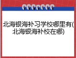 北海银海补习学校哪里有(北海银海补校在哪)