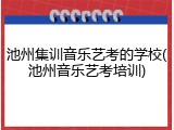 池州集训音乐艺考的学校(池州音乐艺考培训)