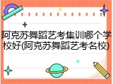 阿克苏舞蹈艺考集训哪个学校好(阿克苏舞蹈艺考名校)