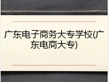 广东电子商务大专学校(广东电商大专)
