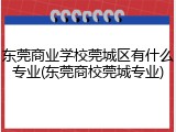 东莞商业学校莞城区有什么专业(东莞商校莞城专业)