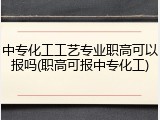中专化工工艺专业职高可以报吗(职高可报中专化工)