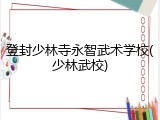 登封少林寺永智武术学校(少林武校)