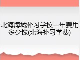 北海海城补习学校一年费用多少钱(北海补习学费)