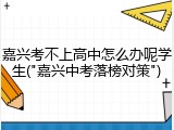 嘉兴考不上高中怎么办呢学生("嘉兴中考落榜对策")