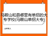 马鞍山和县哪里有单招的大专学校(马鞍山单招大专)