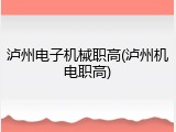 泸州电子机械职高(泸州机电职高)