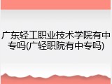 广东轻工职业技术学院有中专吗(广轻职院有中专吗)