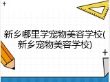 新乡哪里学宠物美容学校(新乡宠物美容学校)