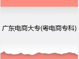 广东电商大专(粤电商专科)