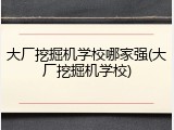 大厂挖掘机学校哪家强(大厂挖掘机学校)