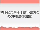 初中如果考不上高中该怎么办(中考落榜出路)
