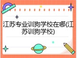 江苏专业训狗学校在哪(江苏训狗学校)