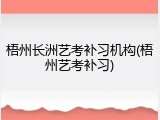 梧州长洲艺考补习机构(梧州艺考补习)