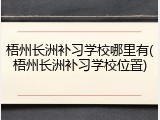 梧州长洲补习学校哪里有(梧州长洲补习学校位置)