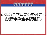 新余冶金学院是公办还是民办(新余冶金学院性质)