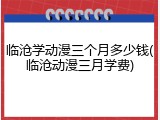 临沧学动漫三个月多少钱(临沧动漫三月学费)